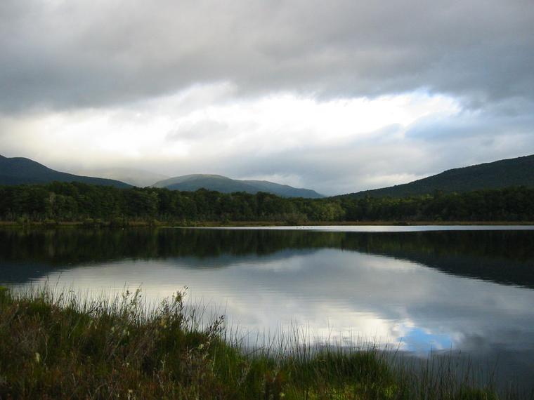 1637-wetlands.jpg