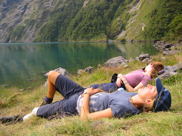 1775-napping.jpg