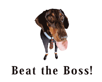 boss_350x280.gif