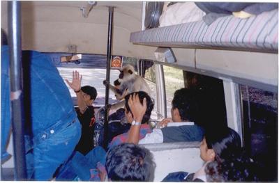 jam05.jpg