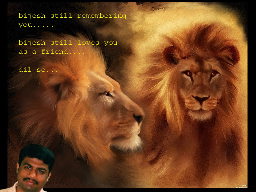 lion-1.jpg